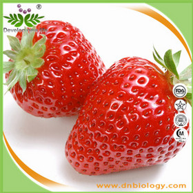 Strawberry Extract