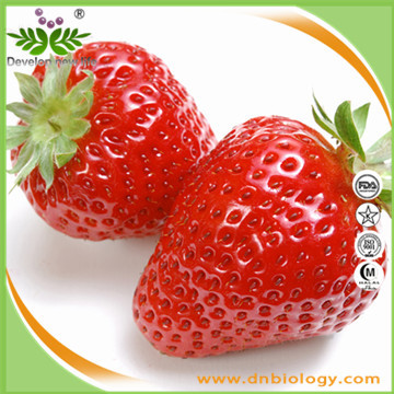 Strawberry Extract