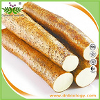 Wild Yam Extract