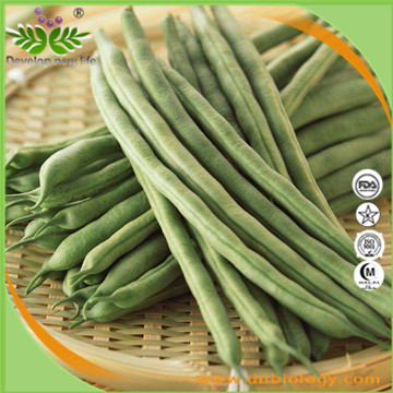 Green Bean Extract