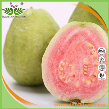 Guava Extract