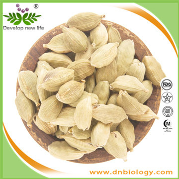 Cardamom Seed Extract Powder