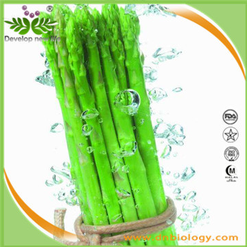 Asparagus Extract