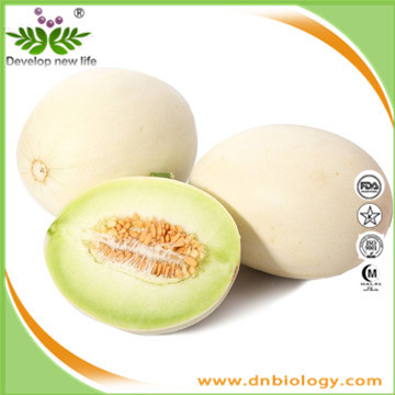 Muskmelon Extract