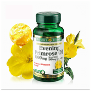 China best hot evening primrose essential oil price for export 
