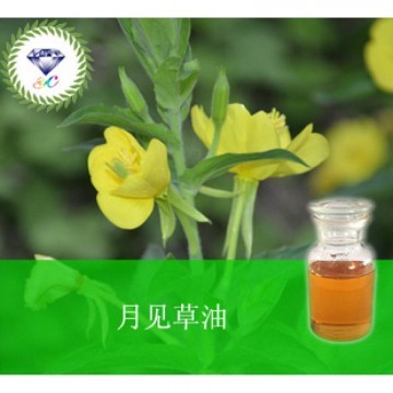 Nature plant oil evening primrose oil brands evening primrose oil with cheap price 