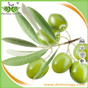 Olive Leaf Extract