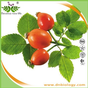 Rosehip Extract