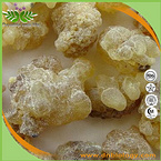 Frankincense Extract