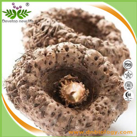 Konjac Extract