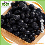 Black Bean Peel Extract