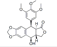 Podofilox (Podophyllotoxin)