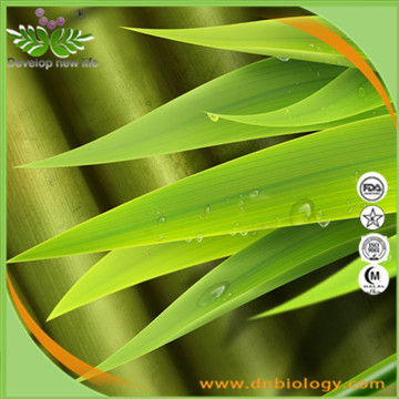 Bamboo Leaf Extract