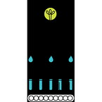  Blow-Fill-Seal(BFS)