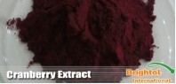 Cranberry Extract