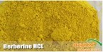 Berberine HCL