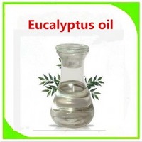 Bulk factory price food/cosmetic grade eucalyptus oil