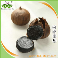 black garlic powder