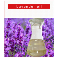 Bulk supply free sample low price pure essential oil lavender
