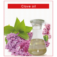 organic clove essential oil for oral health best price clove oil