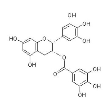 EGCG 90%,95%,98%,green tea extract