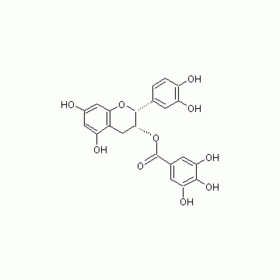 ECG 98%,green tea extract