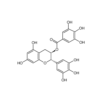 GCG 98%,green tea extract