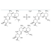 Gentamicin sulfate