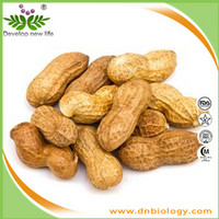 peanut shell extract luteolin 98%