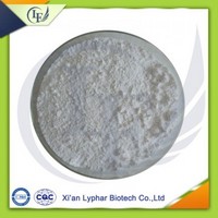 Factory supply Top quality Lactase powder