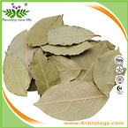 Bay Leaf Extract