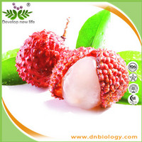 Litchi Extract