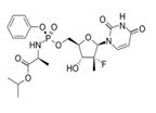 Sofosbuvir