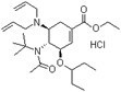 (3R,4R,5S)-4-N-Acetyl(1,1-dimethylethyl)amino-5-N,N-diallylamino-3-(1-ethylpropoxy)-1-cyclohexene-1-