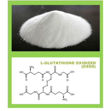 L-Glutathione Oxidized (GSSG)