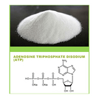 Adenosine Triphosphate Disodium  (ATP)