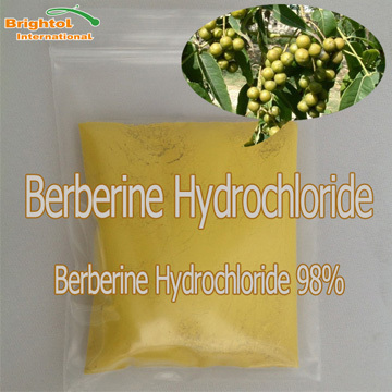 Berberine Hydrochloride | Shanghai Brightol International Co.,LTD.