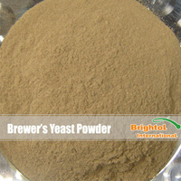 Brewers Yeast Powder