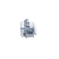 GD6/GD8-200/250/300 Premade Bag Solid Filling And Sealing Machine