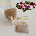 Echinacea extract