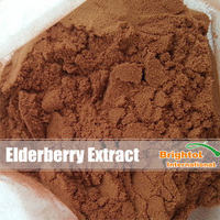 Elderberry Extract