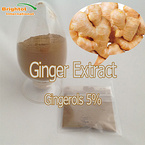 Ginger Extract