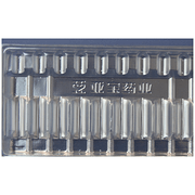 Plastics Mold