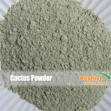 Cactus Powder