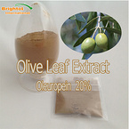 Olive Leaf Extract