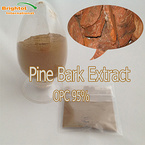 Pine Bark Extract