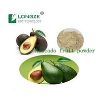 Avocado fruit powder