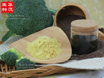 Sulforaphane 0.1%, Broccoli seed extract
