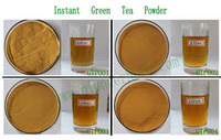 Instant oolong tea powder