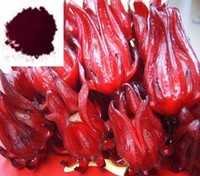 Hibiscus sabdariffa Extract